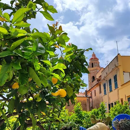Casa Gelsomino 公寓 *